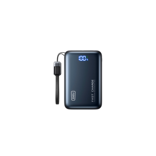INIU LEOPARD POWER 20KMAH 65W